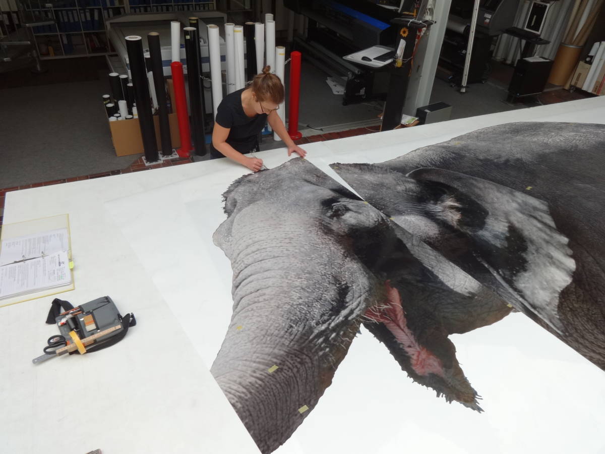 Elefantastisch! | JOST Beschriftungen Liestal